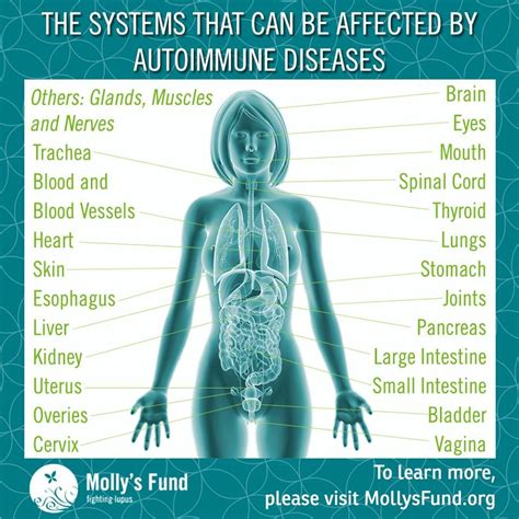 Understanding Autoimmune Diseases What You Need To Know Definition