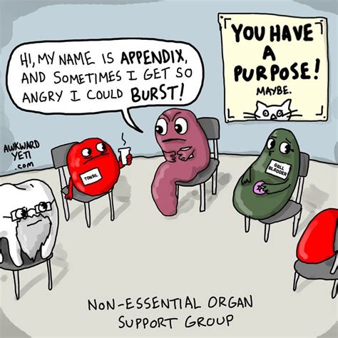 Image Result For Best Gallbladder Jokes Humour Wtf Humor Nerd Nurse