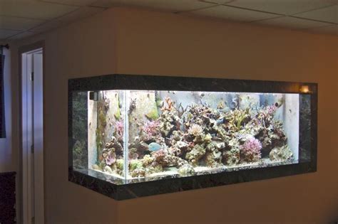 Photo 1 210 Gallon In Wall Sps Reef Display 135 Gallon R