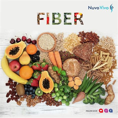 Fiber In Your Diet Nuvovivo