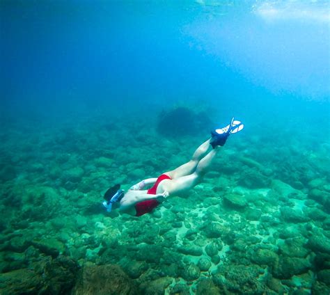 Best Snorkeling In Oahu 6 Not To Miss Places To Explore Uprooted Traveler