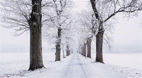 Maybe you would like to learn more about one of these? Hiver 2019-2020 : notre première tendance météo ...