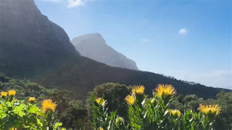 The Best Hiking Trails In Cape Town 2022 The Big 5