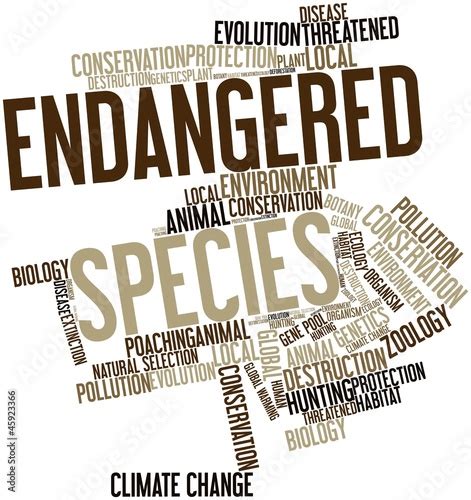 Word Cloud For Endangered Species Stock Photo And Royalty Free Images