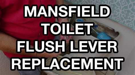 Mansfield Toilet Flush Lever Replacement Youtube