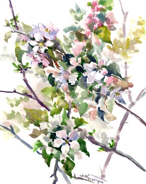 Apple Blossom Watercolor At Explore Collection Of
