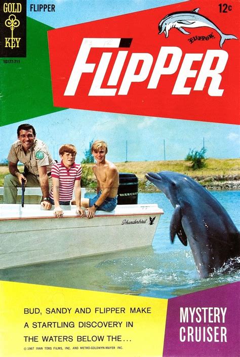 Flipper Tv Show Watch Yolando Felton