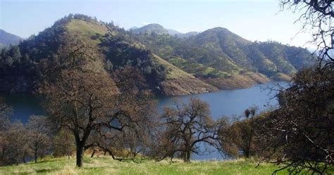 An existing rejuvenated olive grove and a similarly attended to two and a half acre. Best Camping in and Near Pine Flat Lake
