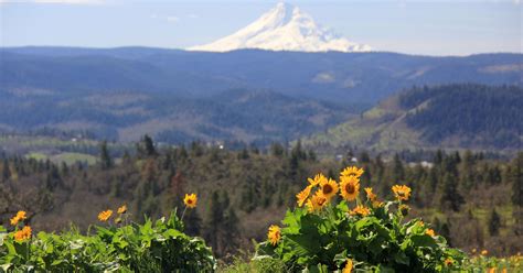 Oregon Top 10 Best Spring Adventures For Families