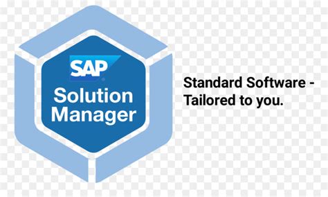 SAP Solution Manager Logo