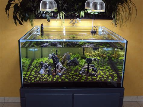 Orphek Pr72 Planted Aquarium Led Lighting