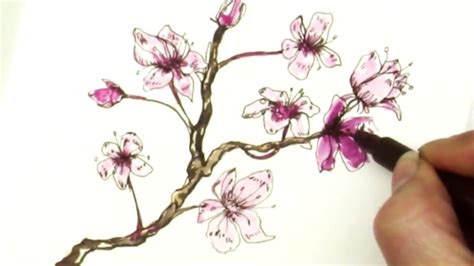 How to draw branches of a tree. Easy How to Draw a Sakura Cherry Blossom Branch - YouTube