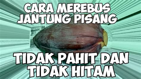 Cara pertama untuk mengolah kaki sapi adalah dengan merebusnya. Cara merebus jantung pisang agar tidak Hitam dan tidak ...