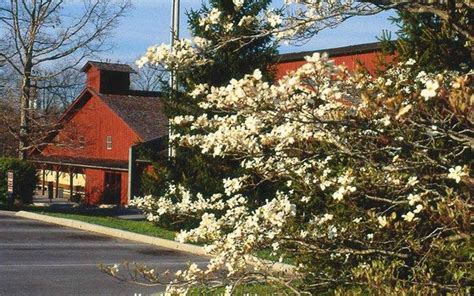 Cumberland county obituaries december 2, 2019. THE 15 BEST Things to Do in Crossville - 2021 (with Photos ...