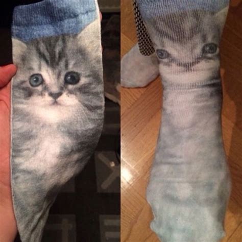 Socks Cat Blank Template Imgflip