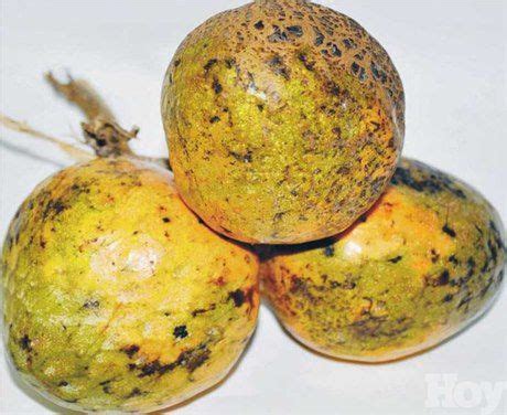 29 best Frutas de la República Dominicana. images on Pinterest