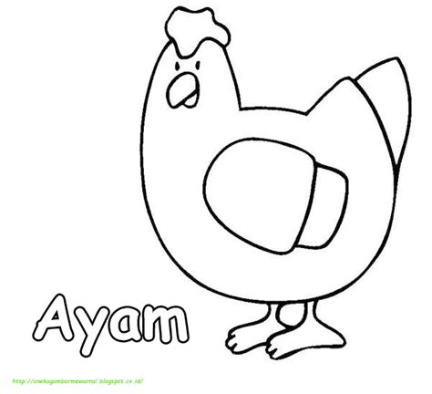 Gambar Ayam Untuk Diwarnai Anak Paud Keren