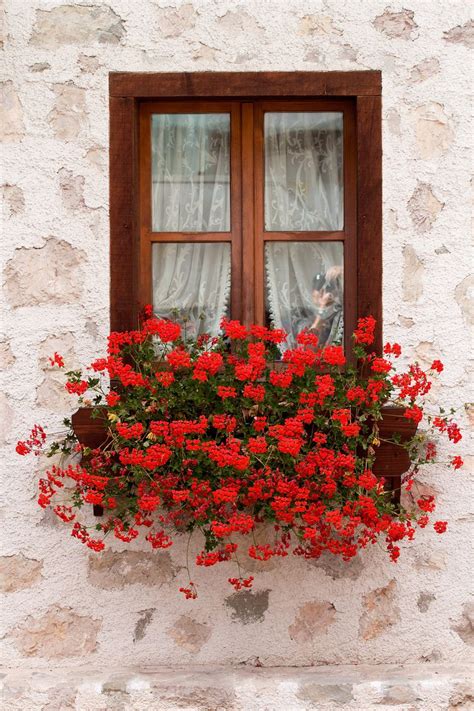 A Window With Red Flowers In It Next To A Stone Wall