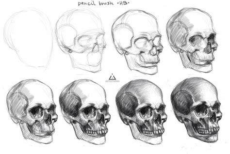 How To Draw A Skull Face Step By Step At Drawing Tutorials