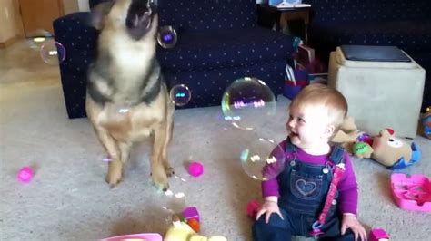Baby Thinks Dog Catching Bubbles Is Absolutely Hysterical