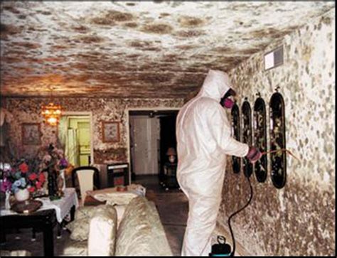 Killing toxic black mold is easier than you may think. Black Mold Removal Columbus: Columbus Remove Mold in Basement