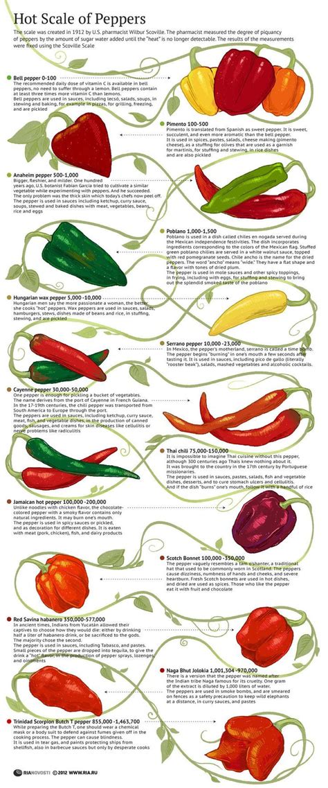 When choosing the perfect pepper, be sure to consider the ingredients you'll be combining. Pin on  Chili Pepper Types and Info 