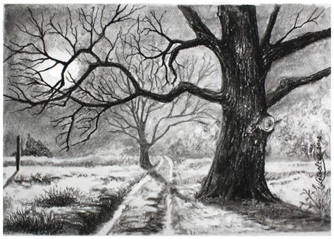 Parcourez notre sélection de dessin d'arbre de chêne : LES ARBRES - Les bases du dessin ... et de la peinture