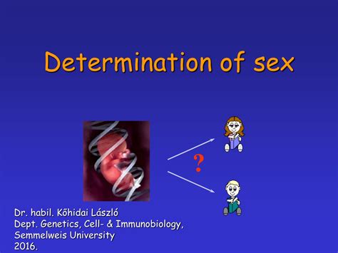 ppt determination of sex powerpoint presentation free download id 9458287