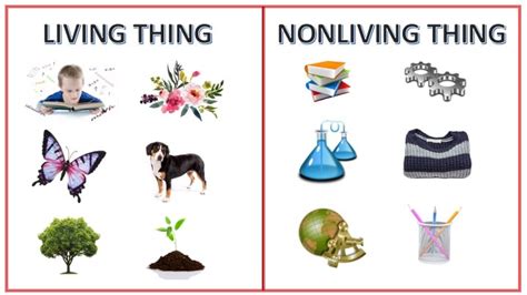 Living Vs Nonliving Things Lessons Blendspace