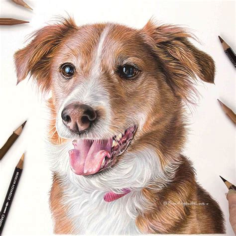 Dog Pencil Portraits Gallery Commission Your Own Here