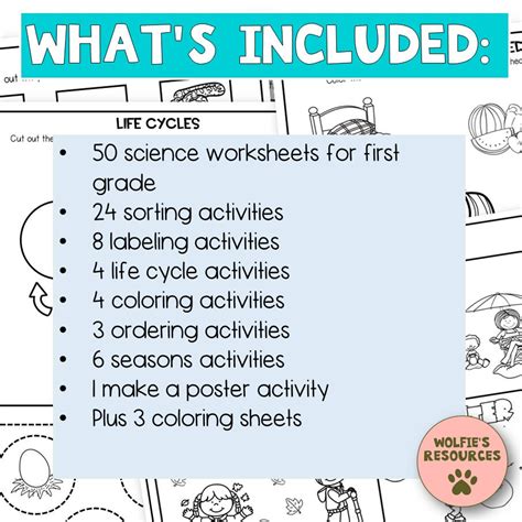 First Grade Science Worksheets