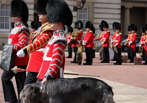 The 'new' guards at the barracks will be led to buckingham palace where, by now, both the 'old' guards of buckingham palace and st. A Guide to Changing of the Guard at London's Buckingham Palace