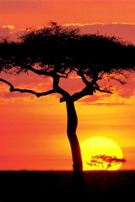 2 Nights 3 Days In The World Renown Masai Mara Sunset Pictures