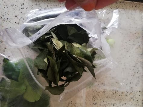 1 tin besar ikan sardin. Simpan Barang Basah Cara Praktikal. Bantu Jimat Ruang, Duit & Masa. Bahan Pun Tetap Segar. Ini ...