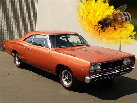 In real life, a person's physique, if not their physical size, is generally a dependable … well, he's not as powerful as whis, who is also not very muscular. List of Cars with Animal Names - Zero To 60 Times