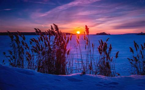 Tiere hintergrundbilder mit zwei elefanten und schönen landschaft. HD Hintergrundbilder - Home | Facebook