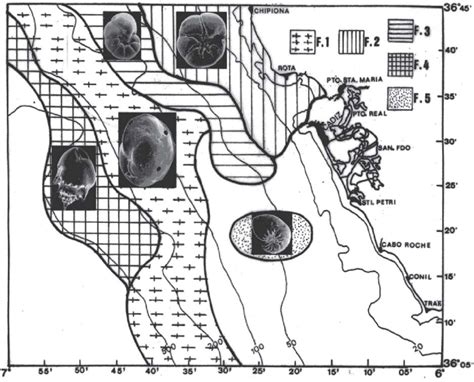 Distribution Of Benthic Foraminiferal Assemblages F1 Cassidulina
