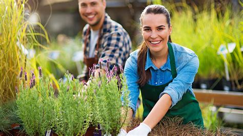If anyone opens a bar on a prime site with heavy traffic, they'll see strong demand. Starting a Landscaping Business in Australia | Cost ...