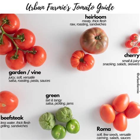 Guide To Different Types Of Tomatoes In 2020 Types Of Tomatoes