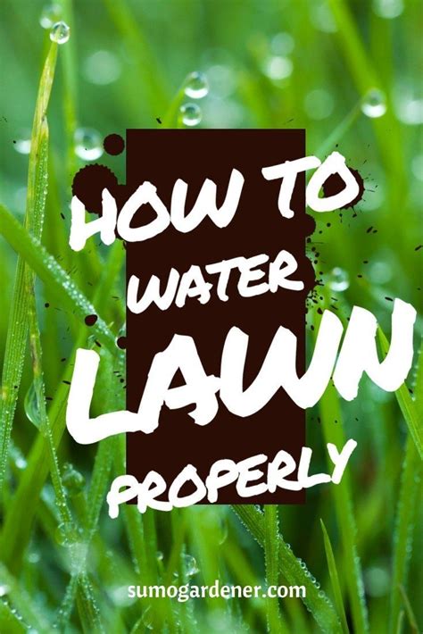 Fertilizer promotes new growth that requires more water, and stressed lawns are also more prone to fertilizer burn. lawn Care Watering - How To Water Lawn The Right Way... # ...