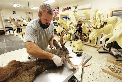 Taxidermists Hope To Share Love Of Hunting In Their Art The Arkansas