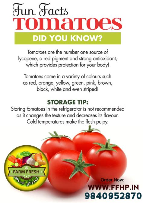Tomato Fun Facts Health And Nutrition Food Nutrition Facts
