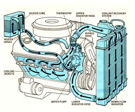 How The Cooling System Works Basics Grumpys Performance Garage