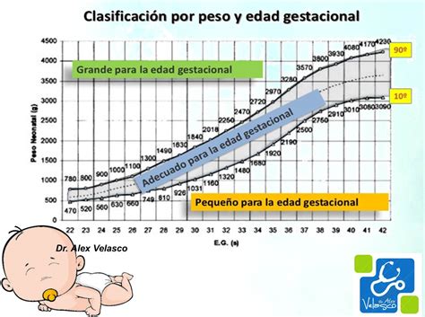 Escalas De ValoraciÓn Del ReciÉn Nacido Dr Alex Velasco