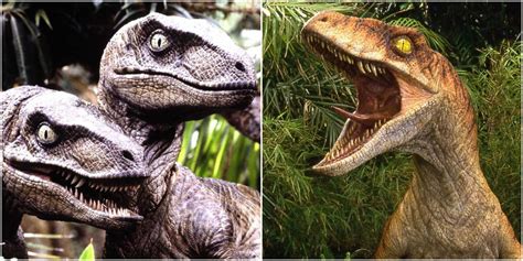 Jurassic Park 10 Things You Didn T Know About Velociraptor Behavior On