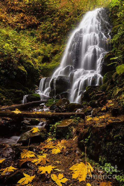 Fairy Falls Columbia River Gorge Photograph By Vishwanath Bhat Pixels