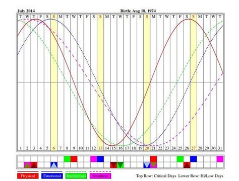 Biorhythm Chart 12 Month Report Chart Months 12 Months