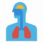 Respiratory Icon Icons