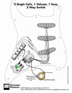 Hot Rail Fender Strat Wiring Diagram