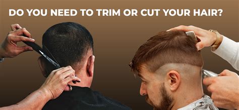 Do You Need To Trim Or Cut Your Hair Salon Aura